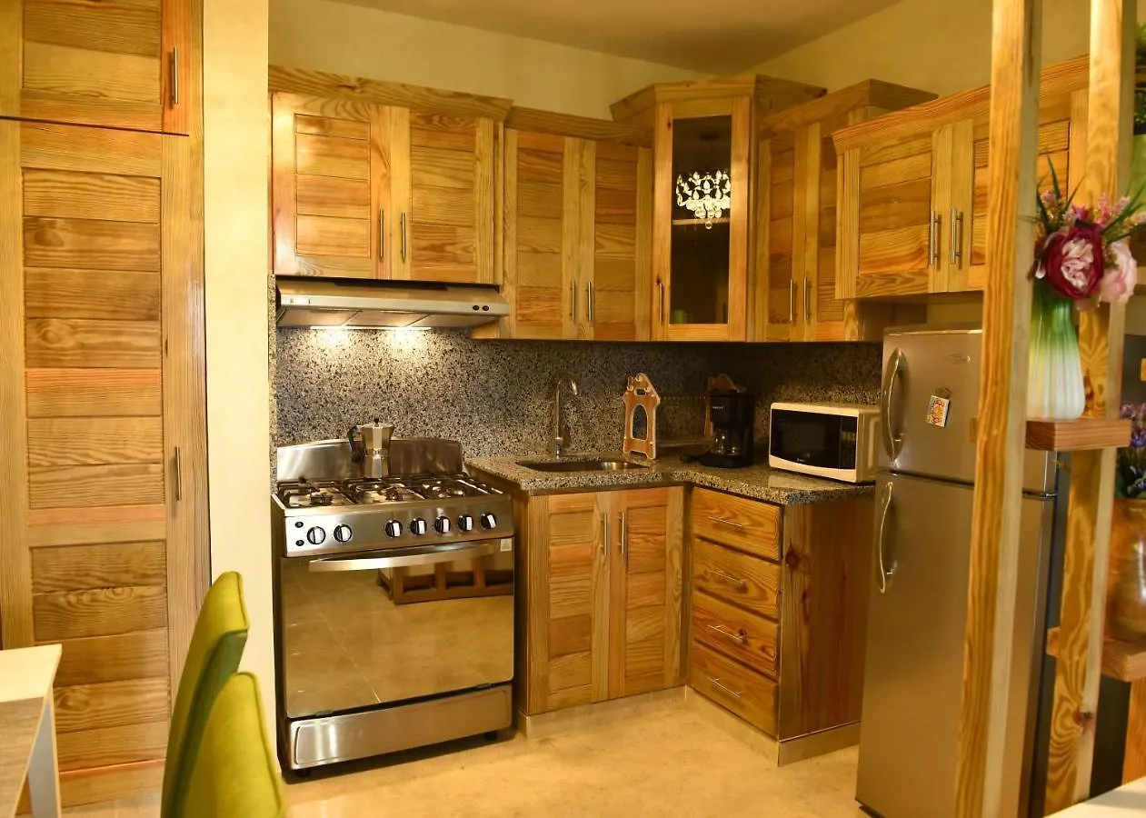 B-8 Hermoso Apartamento Al Pie De La Montana Con Piscina Total Mente Equipado Apartment Jarabacoa